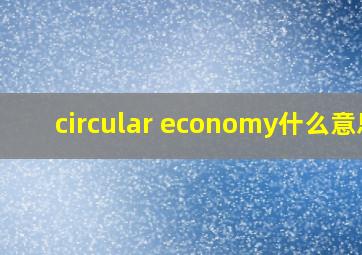 circular economy什么意思